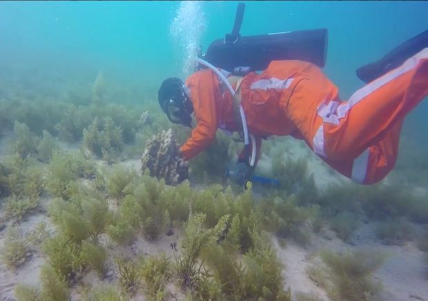 首页- 尊龙集团中国官网入口