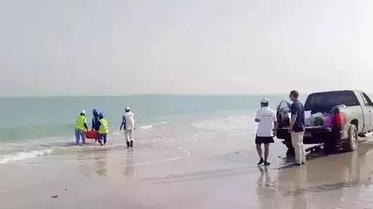 首页- 尊龙集团中国官网入口