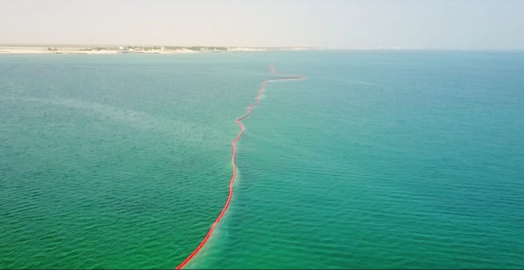 首页- 尊龙集团中国官网入口