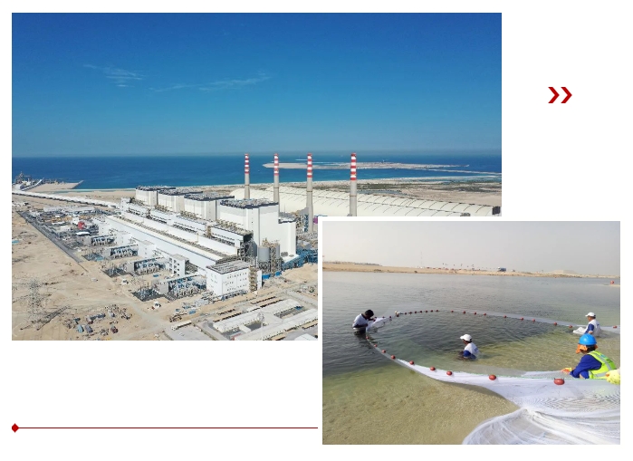 首页- 尊龙集团中国官网入口