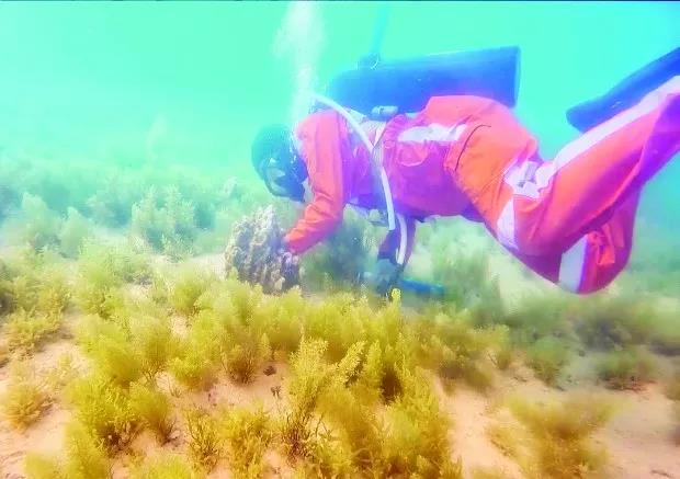 首页- 尊龙集团中国官网入口