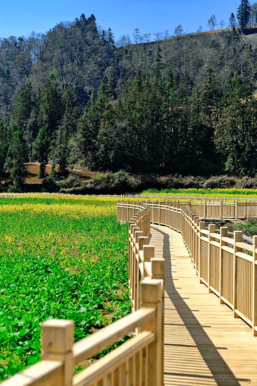 首页- 尊龙集团中国官网入口