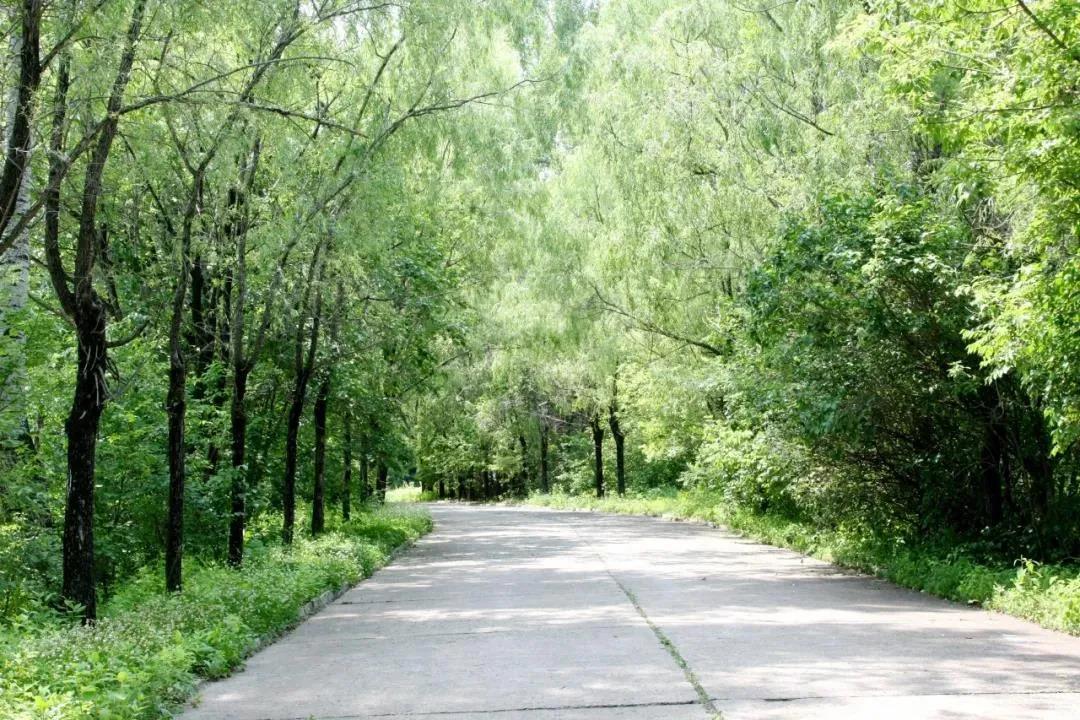 首页- 尊龙集团中国官网入口