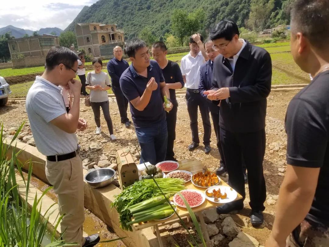 首页- 尊龙集团中国官网入口