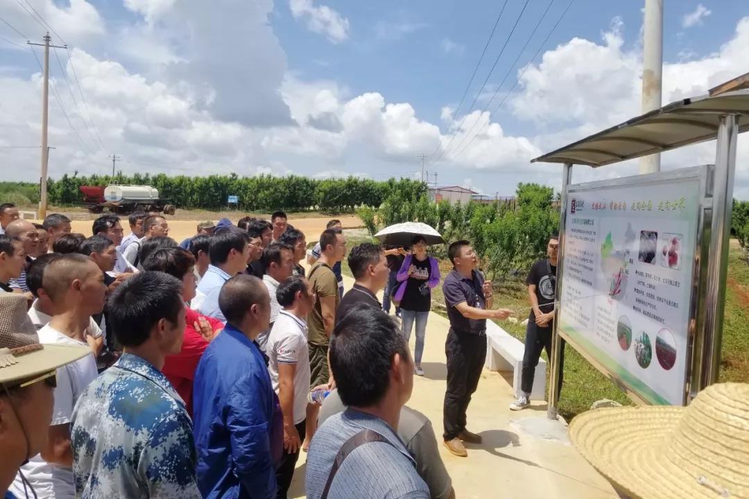 首页- 尊龙集团中国官网入口