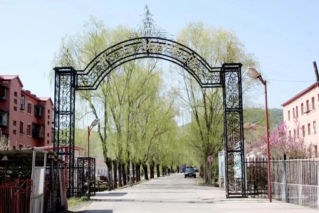 首页- 尊龙集团中国官网入口