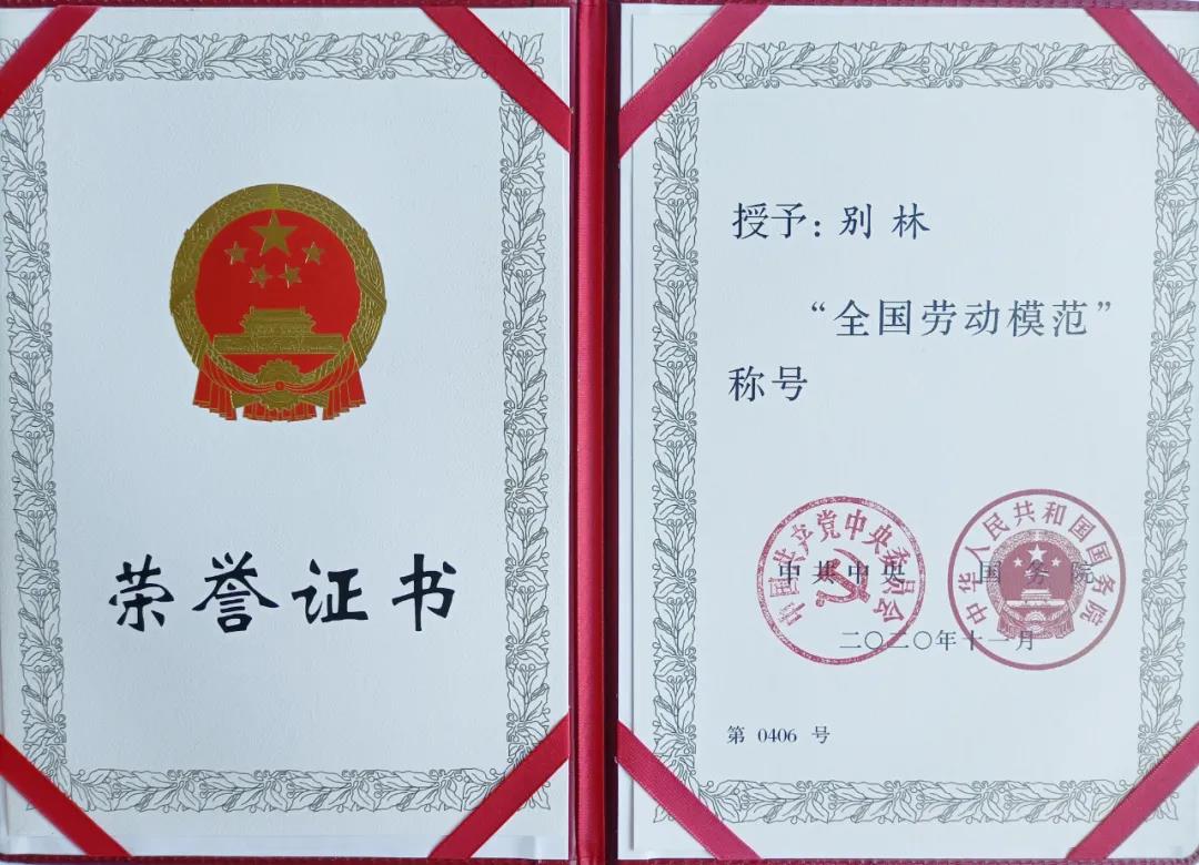 首页- 尊龙集团中国官网入口