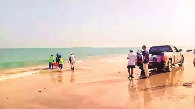 首页- 尊龙集团中国官网入口